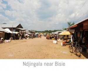 Ndjingala near Bisie-1